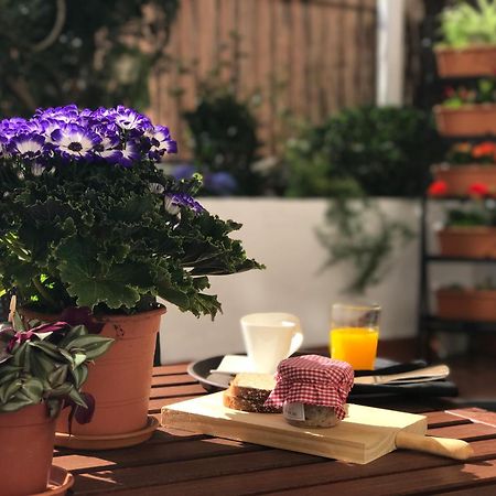 Eixample Modernista Apartment Barcelona Zewnętrze zdjęcie